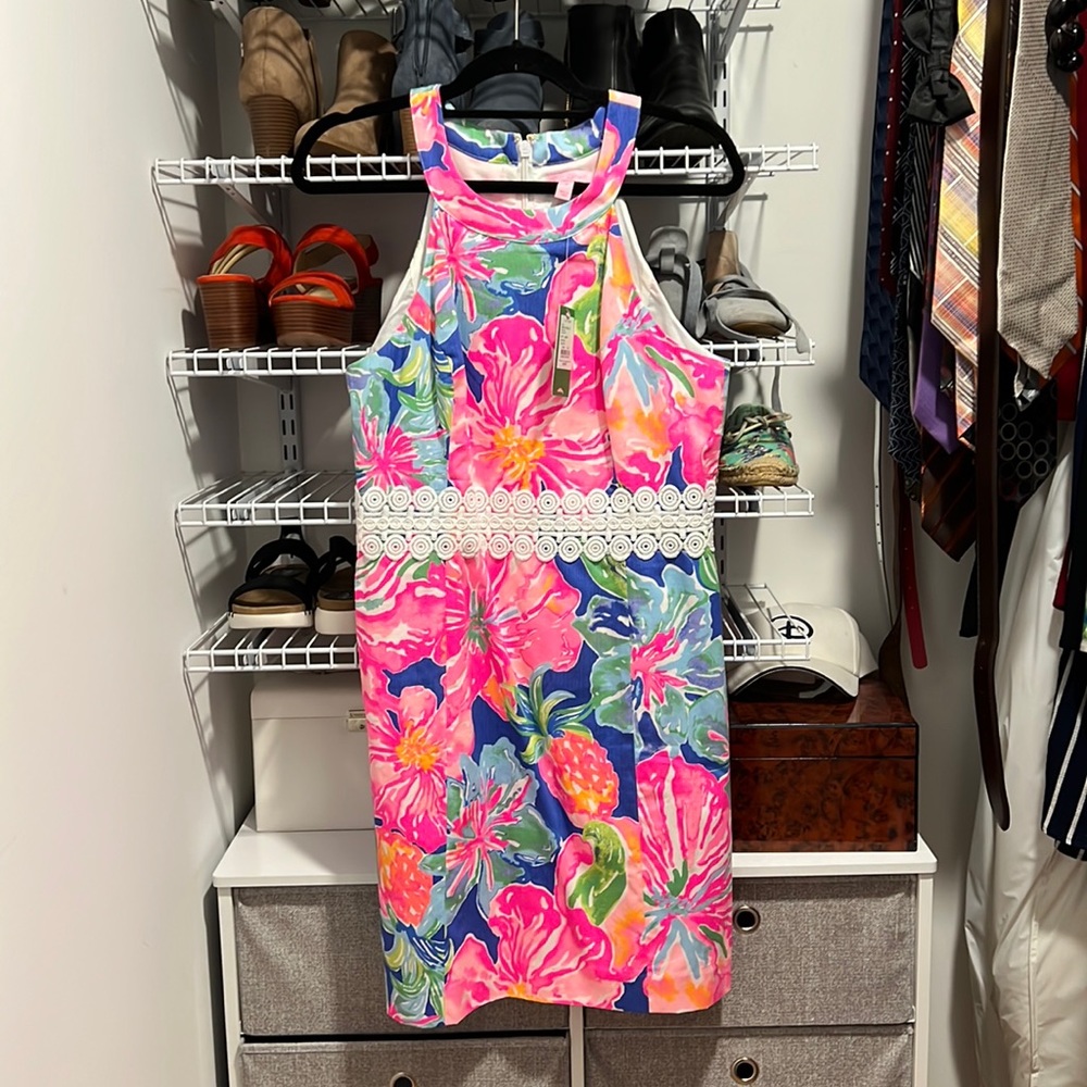 Ashlyn shift dress nwt